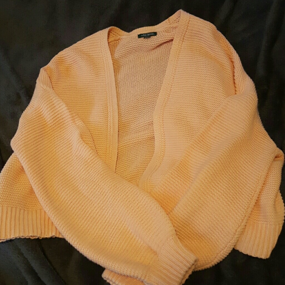 Wild fable cropped pink sweater